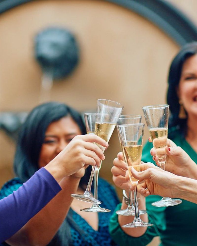 Unleash Your Entrepreneurial Prowess - Woman Cheering with Champagne Flutes